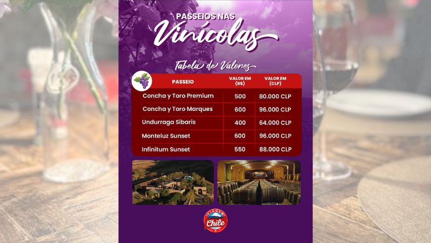 Passeios nas Vinícolas 🍷